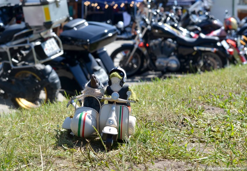 А Гарольд снова в Суздале или кто такая Клара (фото 6)