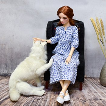 Я полагаю, что все это следует шить