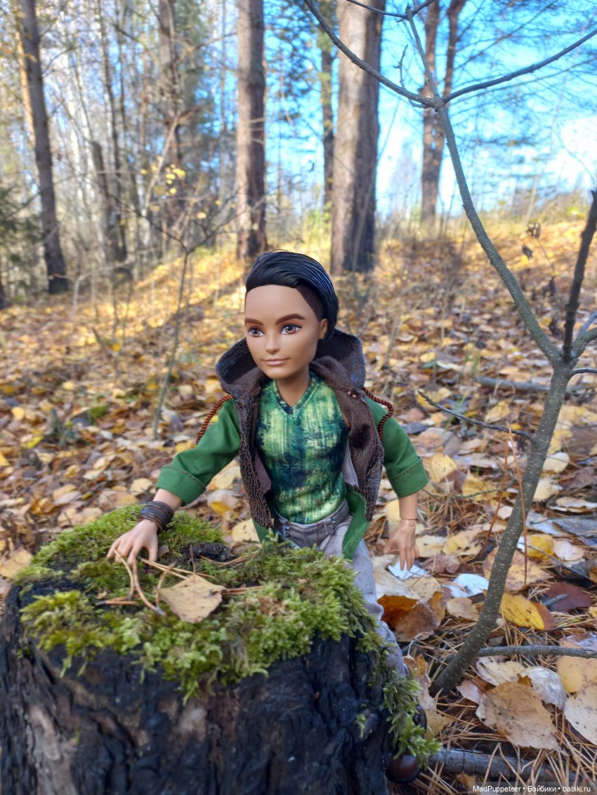 Прогулка в лесу | Бэйбики Прогулка в лесу — Аналоги Барби и куклы 1/6: клоны 90 (фото 2)