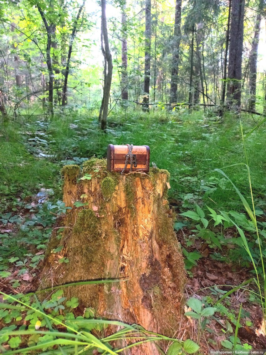 Праздник Середины Лета. Часть 1 (фото 6)