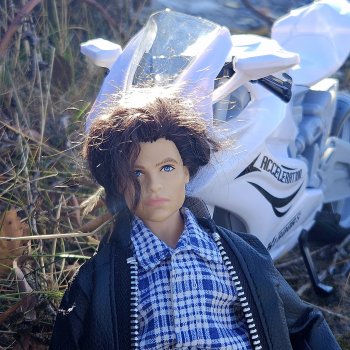 Вопрос к Стивохранительницам