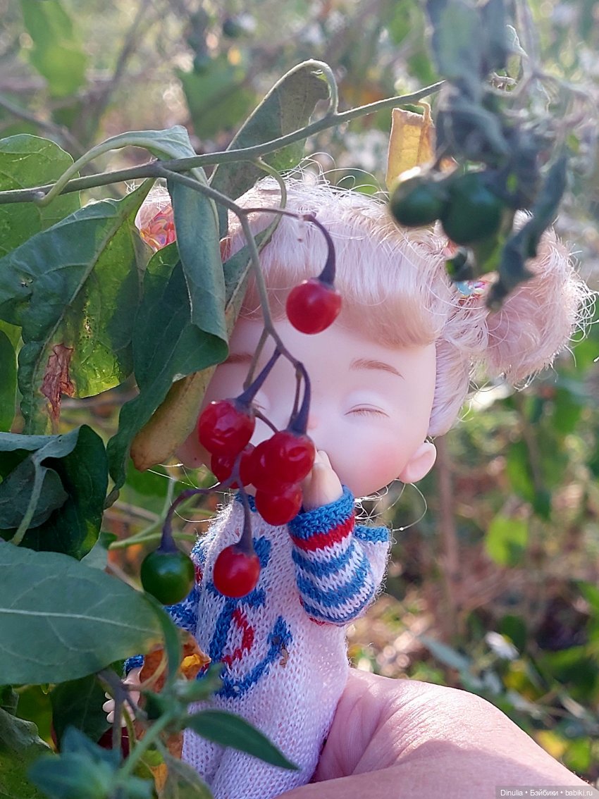 Когда трава была зеленее, небо голубее (фото 4)