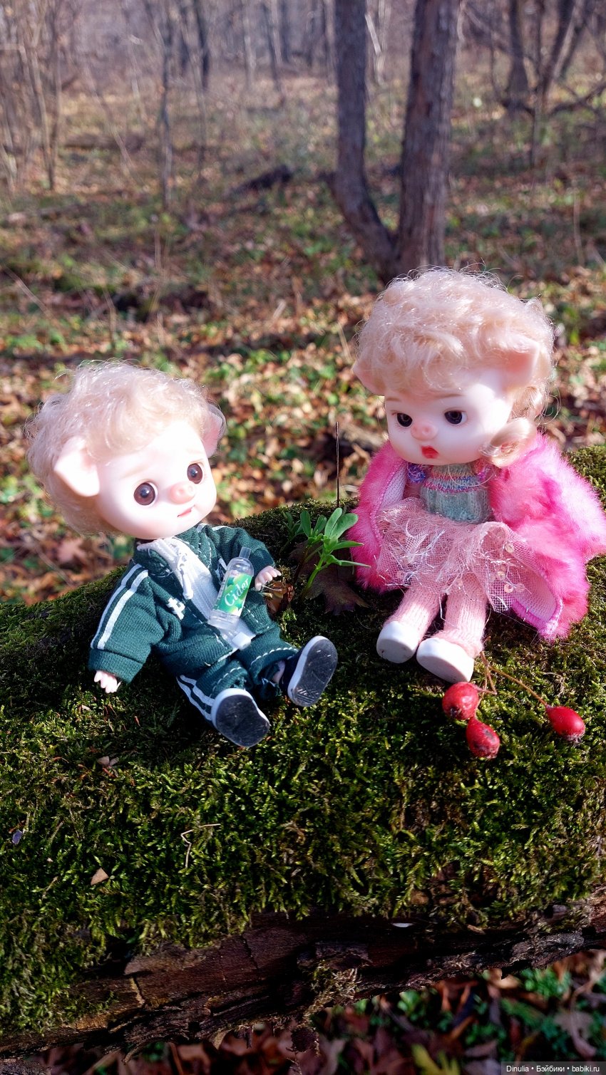 Тайны осеннего леса — Разные шарнирные куклы (не БЖД): редкие (фото 2)