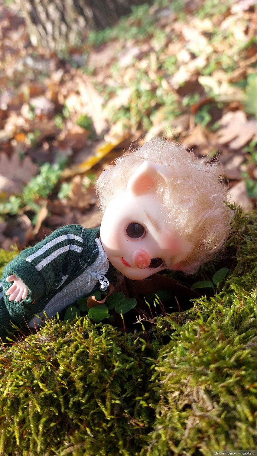 Тайны осеннего леса — Разные шарнирные куклы (не БЖД): редкие (фото 3)