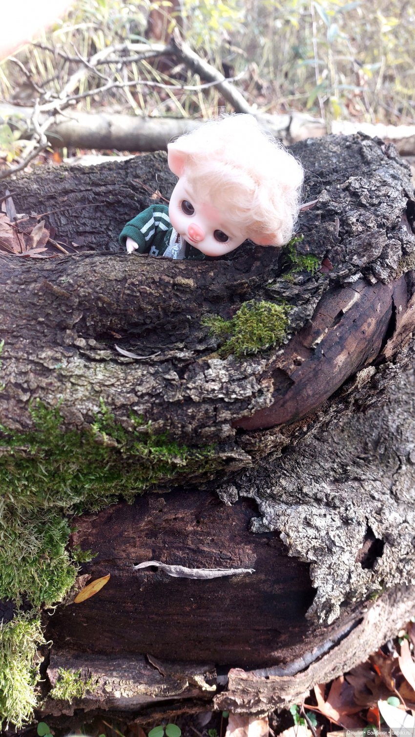 Тайны осеннего леса — Разные шарнирные куклы (не БЖД): редкие (фото 6)