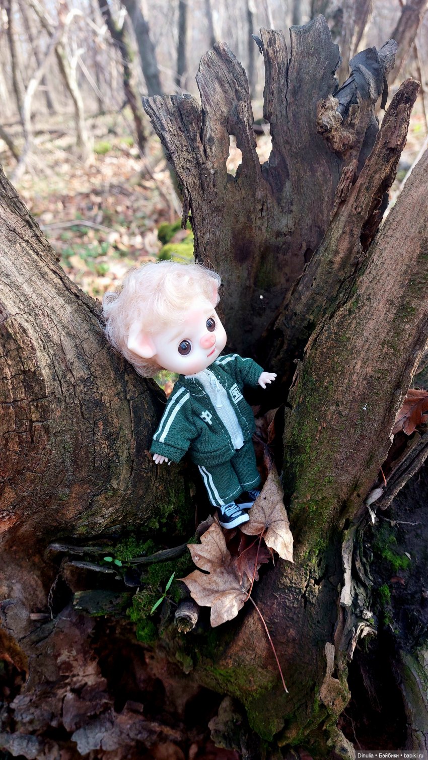 Тайны осеннего леса — Разные шарнирные куклы (не БЖД): редкие (фото 5)