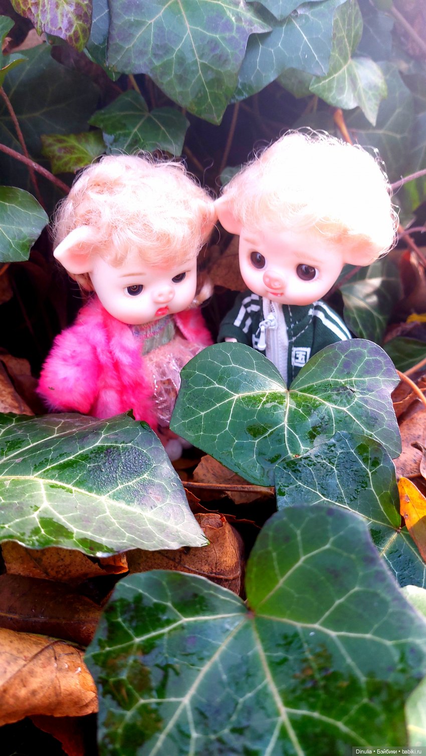 Тайны осеннего леса. Часть 2 (фото 3)