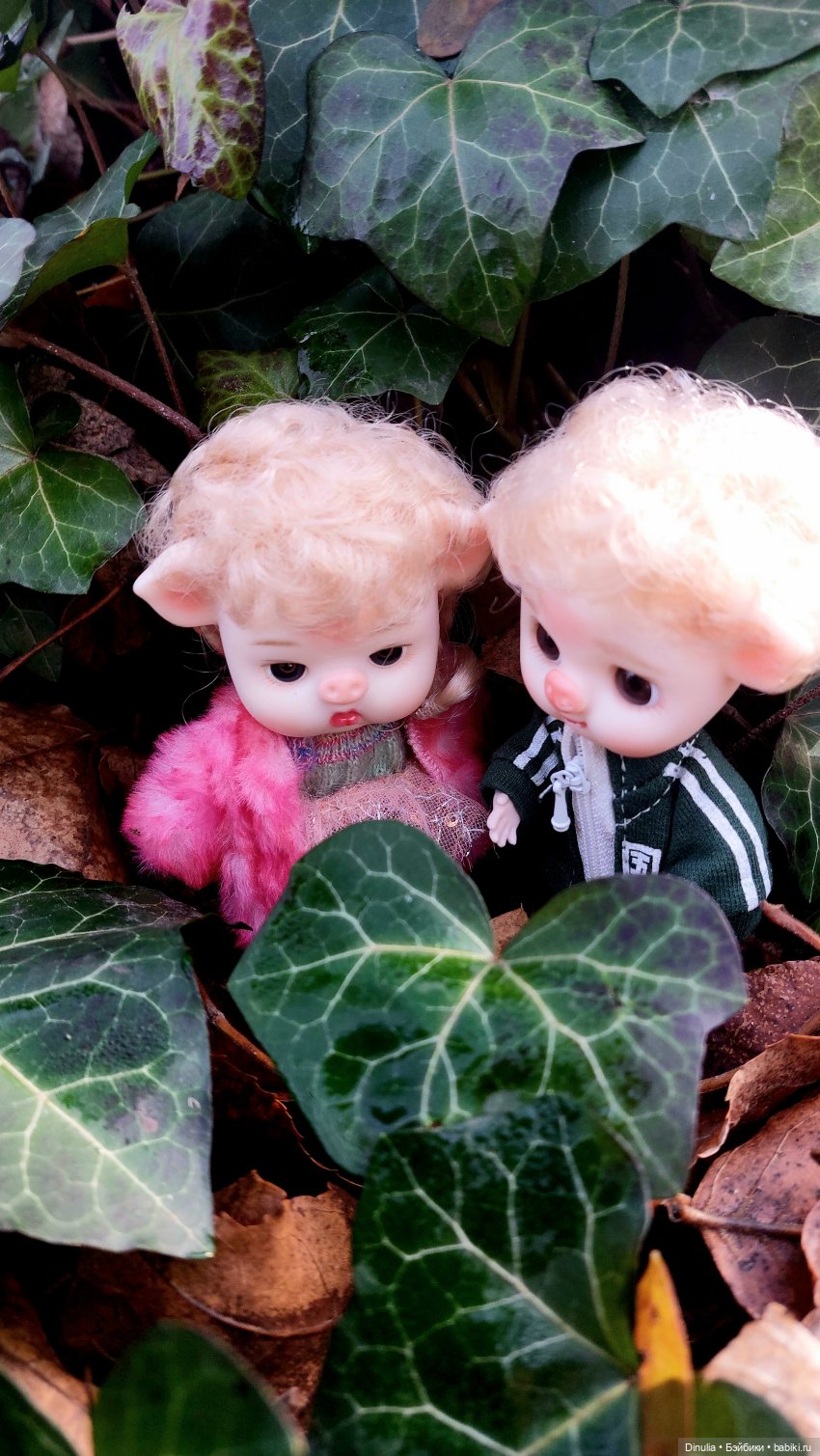 Тайны осеннего леса. Часть 2 (фото 2)