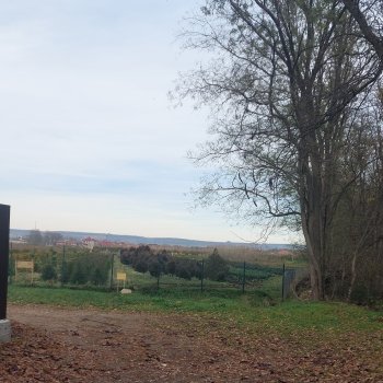 Тайны осеннего леса. Часть 2