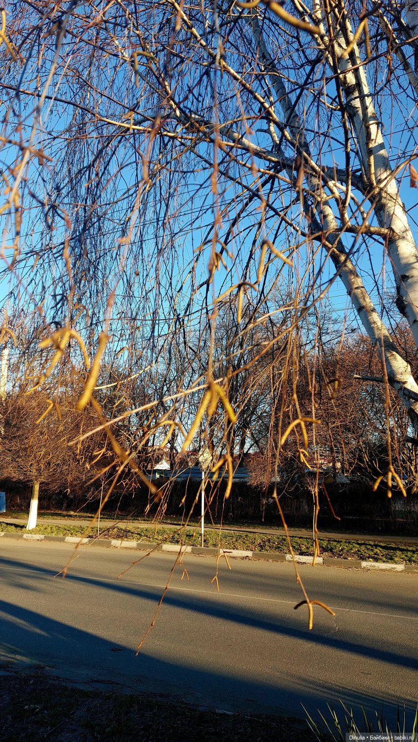 Январский променад — Куклы Baboliy (Баболи