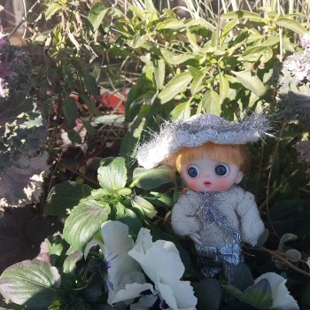 Январский променад.