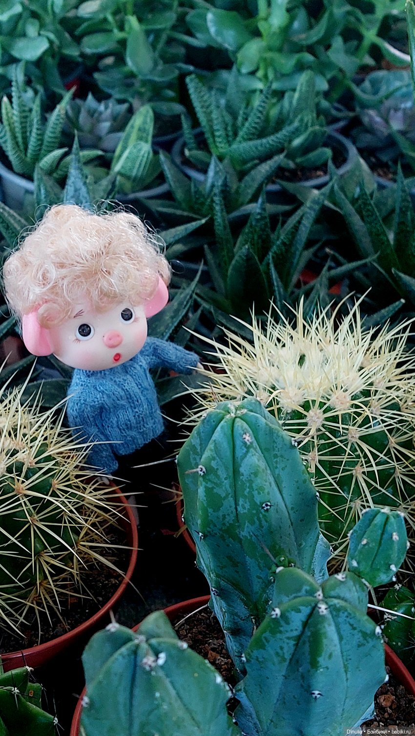 Саша + Маша и цветы — Игровые куклы разных производителей (Разное): редкие бренды (фото 2)