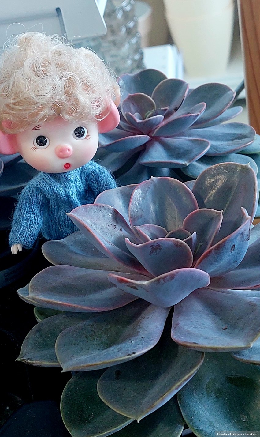 Саша + Маша и цветы — Игровые куклы разных производителей (Разное): редкие бренды (фото 5)