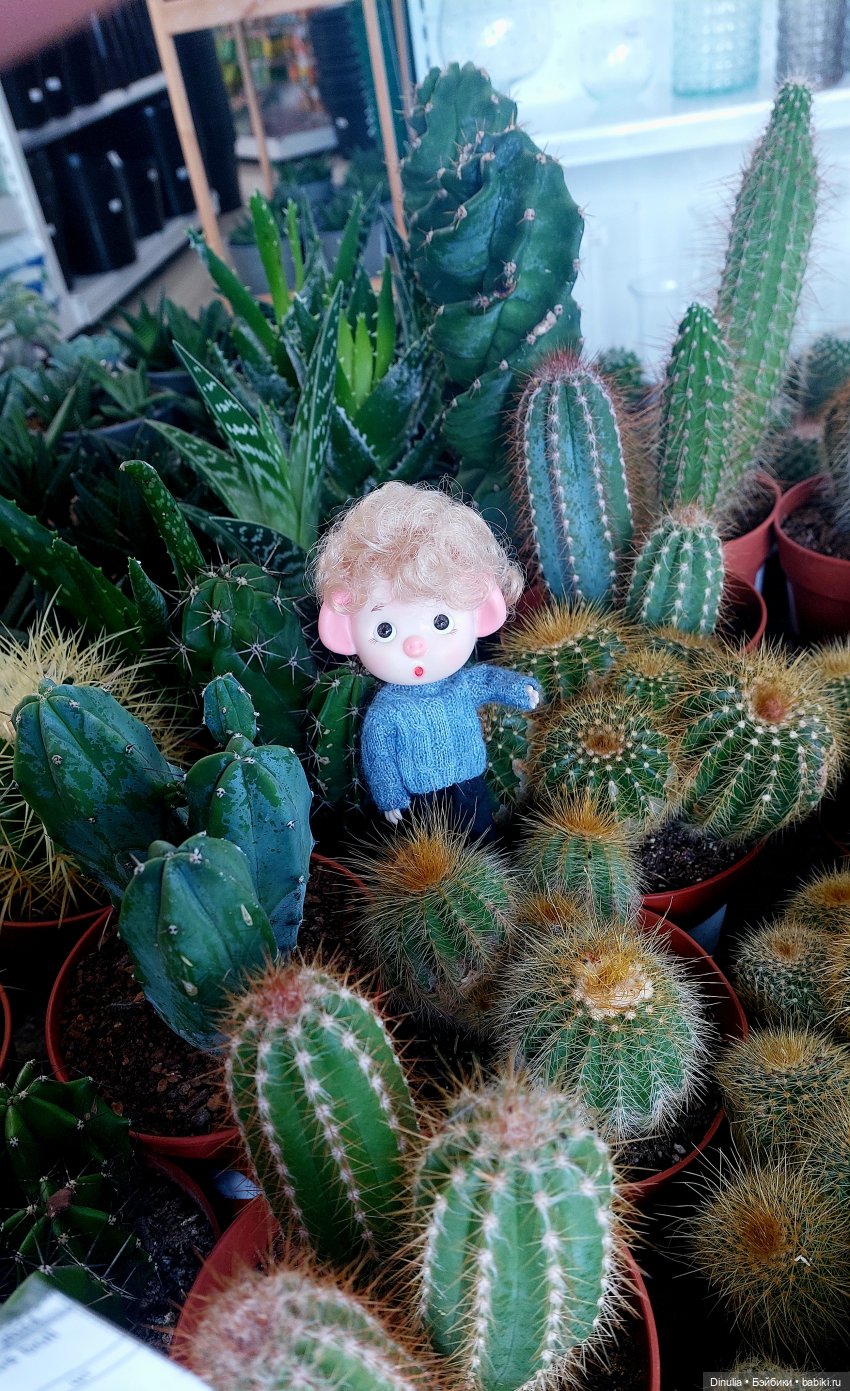 Саша + Маша и цветы — Игровые куклы разных производителей (Разное): редкие бренды