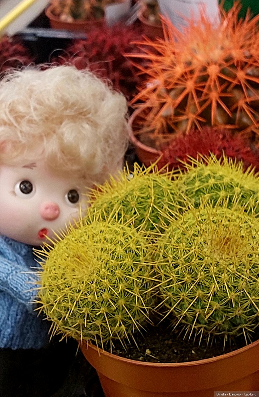 Саша + Маша и цветы — Игровые куклы разных производителей (Разное): редкие бренды (фото 7)