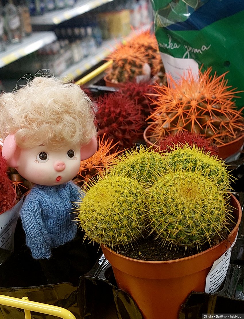 Саша + Маша и цветы — Игровые куклы разных производителей (Разное): редкие бренды (фото 4)