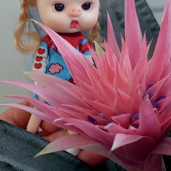 Саша + Маша и цветы