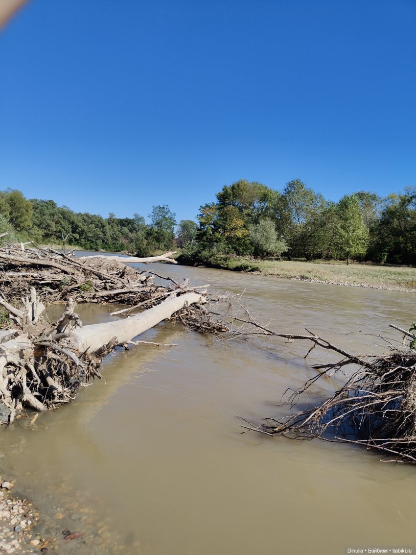 Саша и Маша | Бэйбики Саша и Маша — Куклы с Алиэкспресс (Aliexpress): Китайские шарнирные (фото 6)