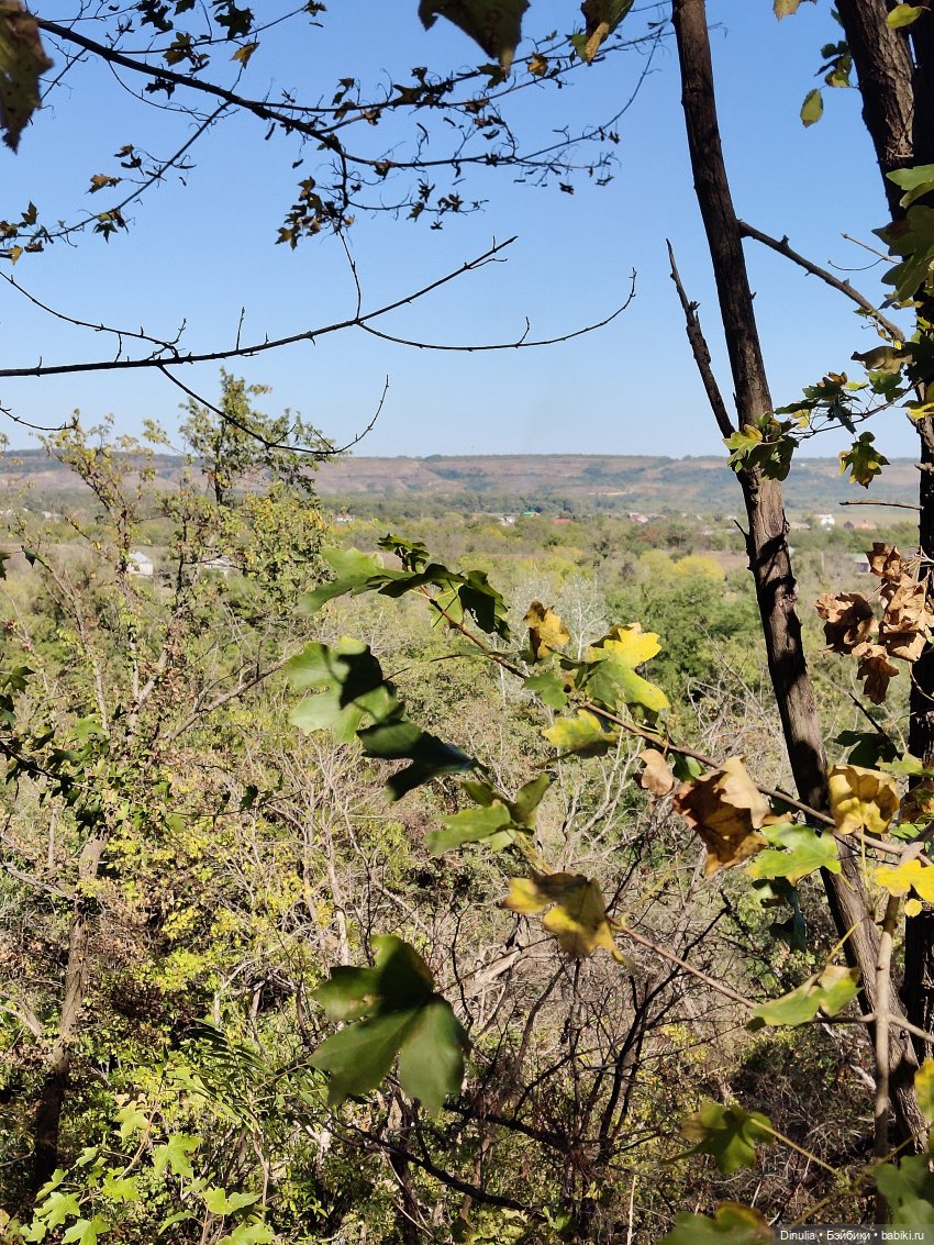 Саша и Маша | Бэйбики Саша и Маша — Куклы с Алиэкспресс (Aliexpress): Китайские шарнирные (фото 2)