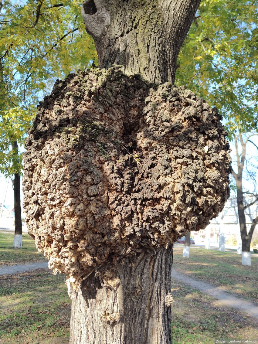 Кристалл в ноябре | Бэйбики Кристалл в ноябре — Куклы Rainbow High (Рейнбоу Хай (фото 6)