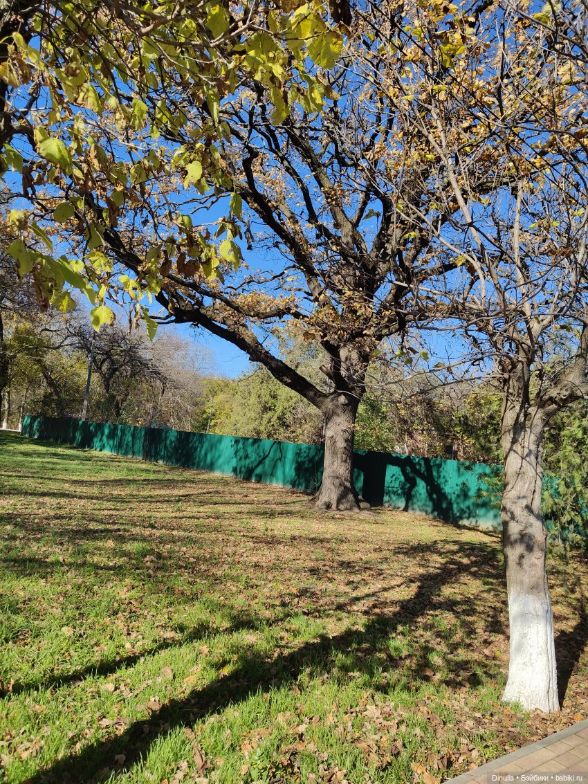 Кристалл в ноябре | Бэйбики Кристалл в ноябре — Куклы Rainbow High (Рейнбоу Хай (фото 4)