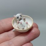 Белый микро котик в чашке