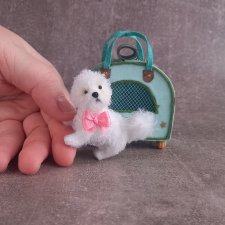 Миниатюрный Бишон Фризе с бантом