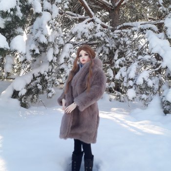 Мороз и солнце - день чудесный.... Эрика на утренний прогулке по зимнему лесу