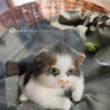 От этого малыша отказались заказчики 😔