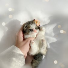 Продолжение про котика отказника