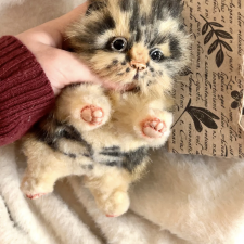 Посылка в Великобританию🇬🇧