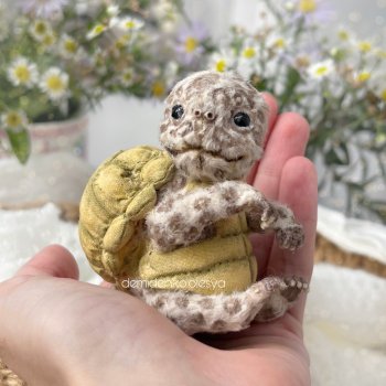 Тедди черепашка Дар