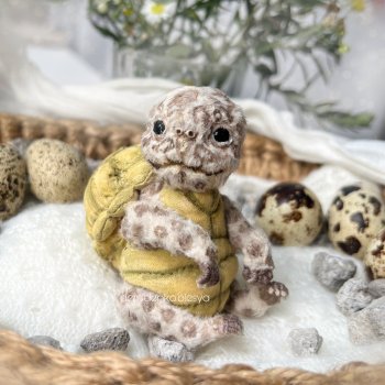 Маленький черепашонок тедди