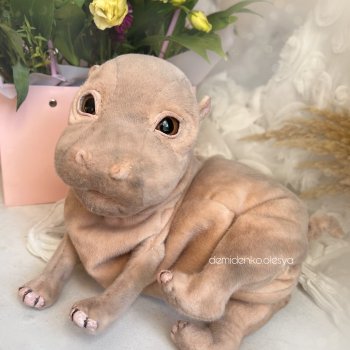 Бегемотик Офелия 🍃✨