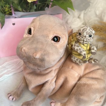 Имена для игрушек