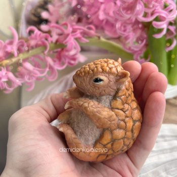 Броненосец Луиза 💞✨