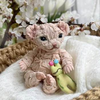 Котёнок сфинкс Гугу