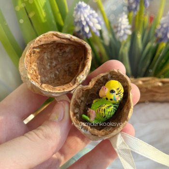 Птички орехожители: все фото