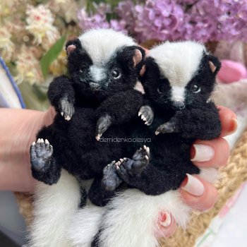 Общие фотографии скунсов