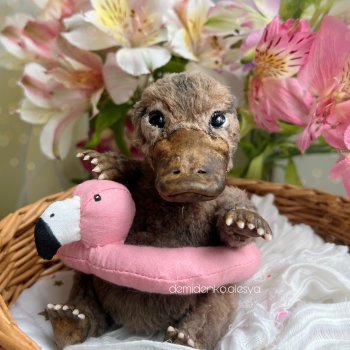 Утконос Нюша