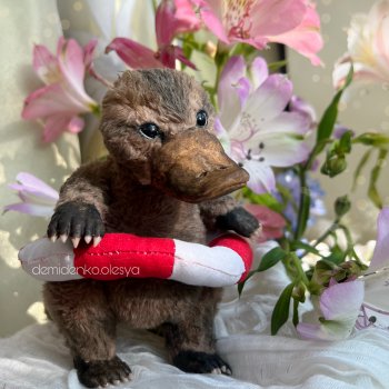 Утконос Паскаль 🛟✨