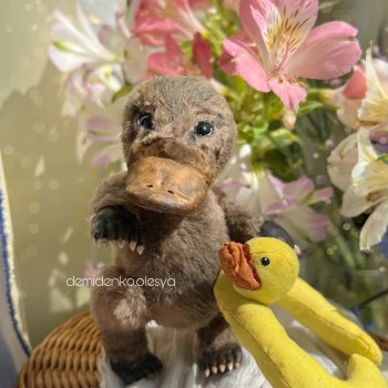 Утконос Сара ✨🫧