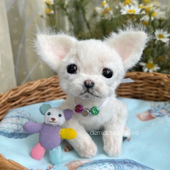 Щенок чихуахуа Лия 💖