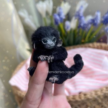 Обезьянка мармозетка 🖤✨