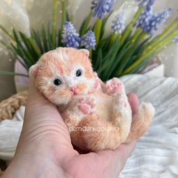 Котёнок Молли