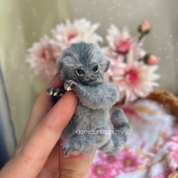 Маленькая игрунка Маркиз