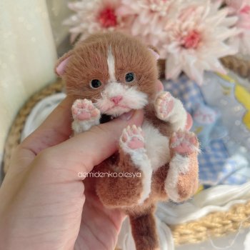 Котёнок Кузенька