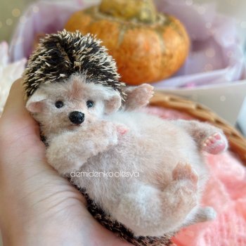 Ежонок Коржик 🦔✨