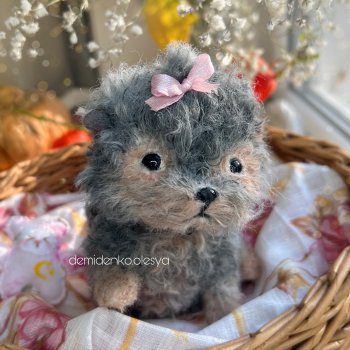 Йоркширский терьер Маслинка