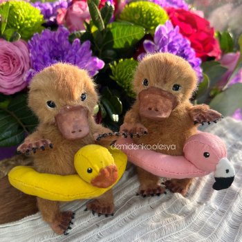 Маленькие утконосы Гастон и Себастьян